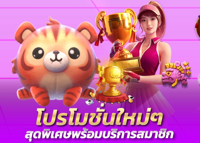 โปรโมชั่นใหม่ๆ สุดพิเศษพร้อมบริการสมาชิก